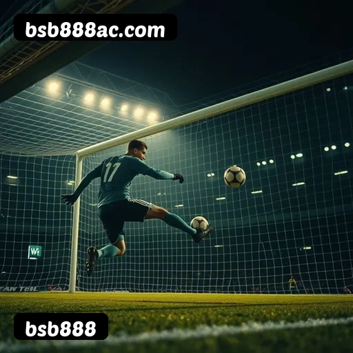 Níveis do programa VIP da bsb888